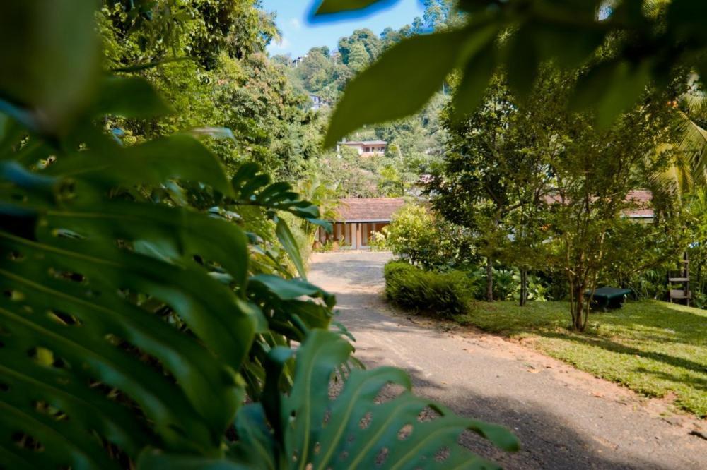 Clove Garden Κάντι Εξωτερικό φωτογραφία